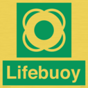 lifebuoy-with-symbol~